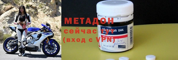 гидра Кодинск