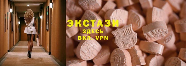 гидра Кодинск