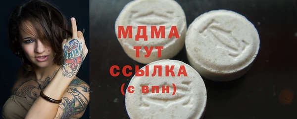 гидра Кодинск