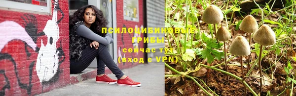 гидра Кодинск