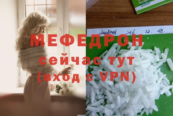 гидра Кодинск