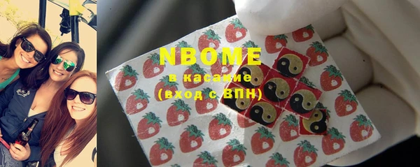 гидра Кодинск