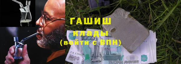 индика Киреевск